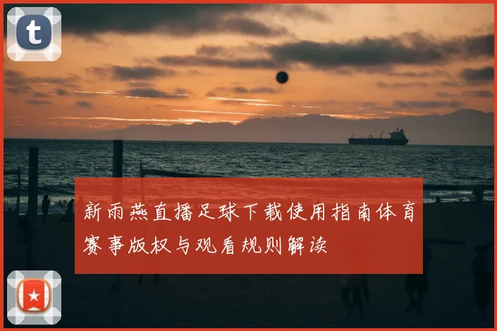 新雨燕直播足球下载使用指南体育赛事版权与观看规则解读