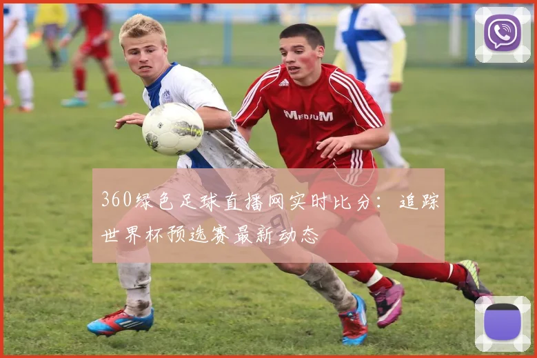 360绿色足球直播网实时比分：追踪世界杯预选赛最新动态