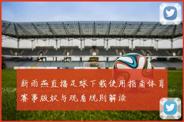 新雨燕直播足球下载使用指南体育赛事版权与观看规则解读