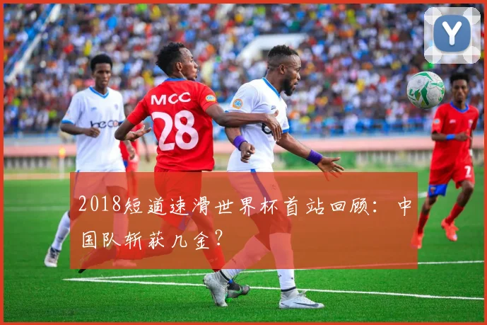 2018短道速滑世界杯首站回顾：中国队斩获几金？