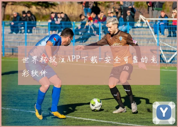 世界杯投注APP下载-安全可靠的竞彩软件