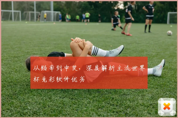 从赔率到中奖,深度解析主流世界杯竞彩软件优劣