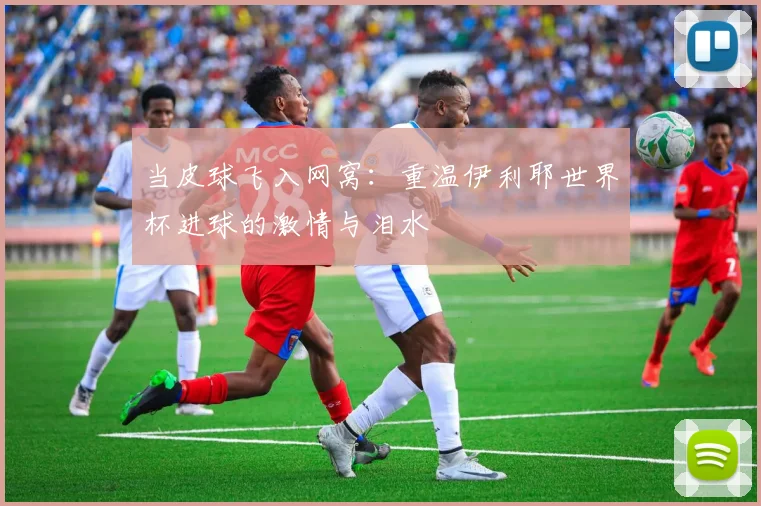 当皮球飞入网窝:重温伊利耶世界杯进球的激情与泪水