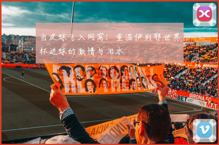 当皮球飞入网窝：重温伊利耶世界杯进球的激情与泪水
