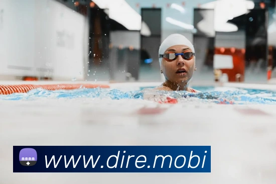 华体在线登录入口发展历程